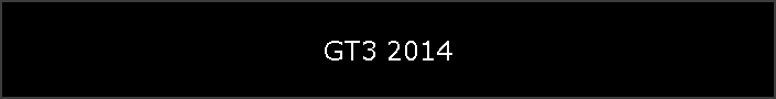 GT3 2014